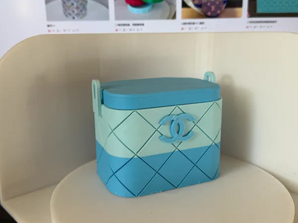 https://makerworld.bblmw.com/makerworld/model/DSM00000002187276/design/2026-01-02_8c6ffc1587ff68.jpg