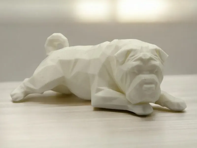 Shar Pei Dog
