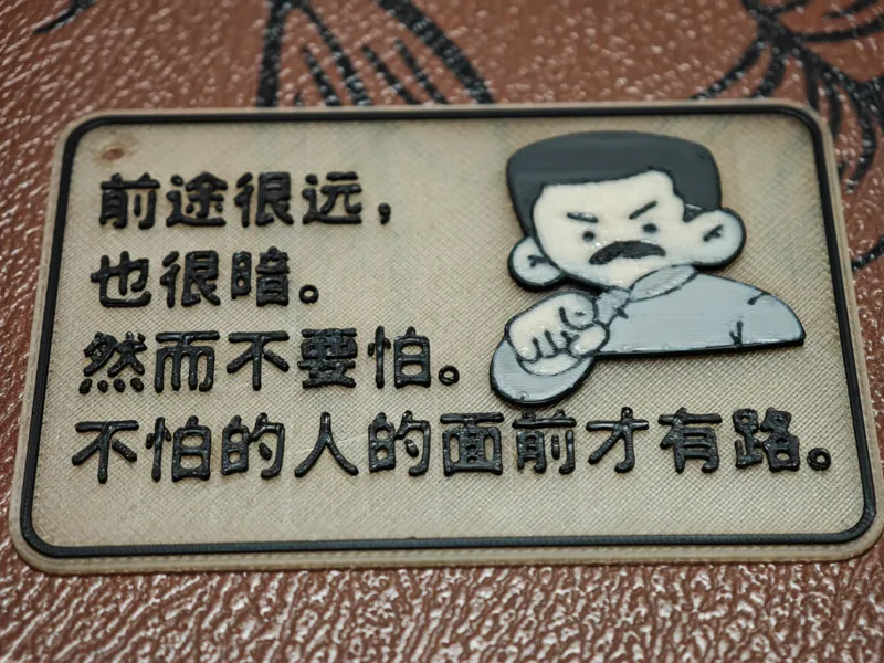 鲁迅语录-前途很远，也很暗。然而不要怕。 不怕的人的面前才有路。