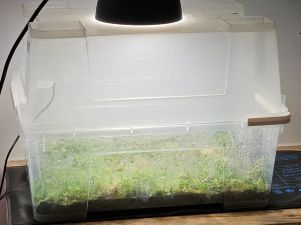 https://makerworld.bblmw.com/makerworld/model/DSM00000002189306/design/2026-01-02_1723ff9863a068.jpg