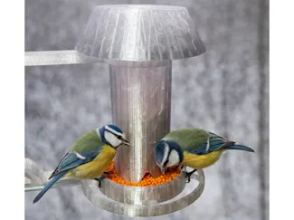 Bird Feeder
