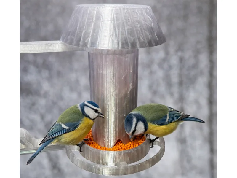 Bird Feeder