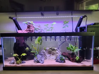 Aquarium light riser for rimmed tank