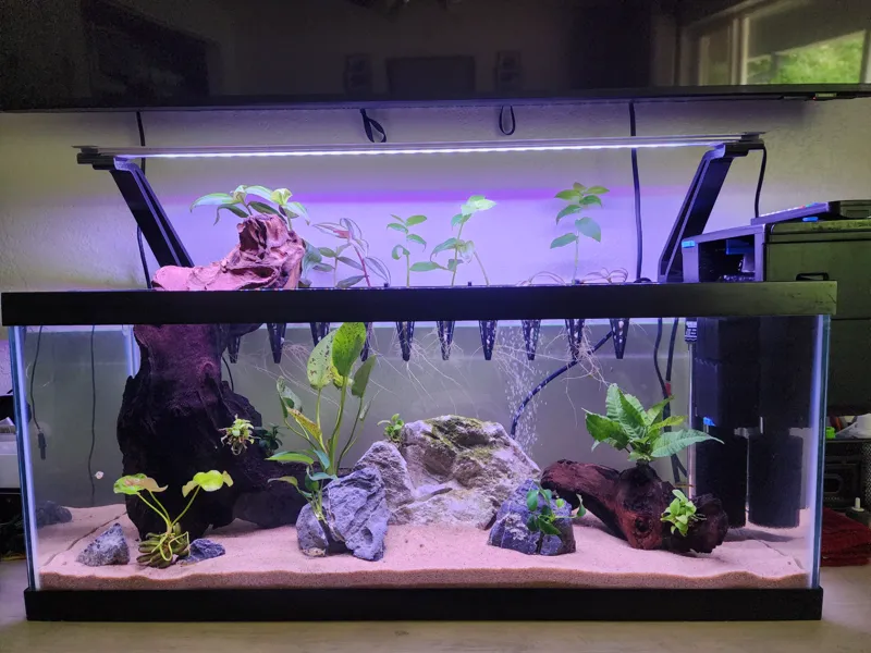 Aquarium light riser for rimmed tank