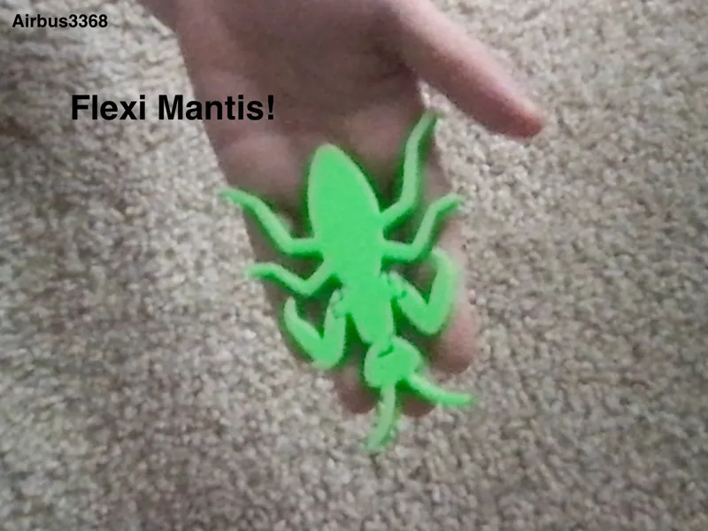 Flexi Mantis