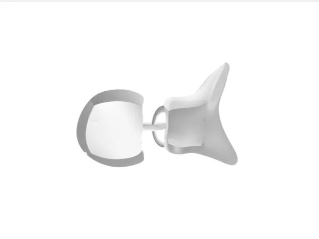 articulated goldfish fidget toy