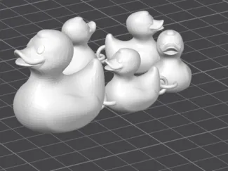 duck chain