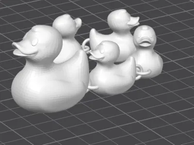 duck chain