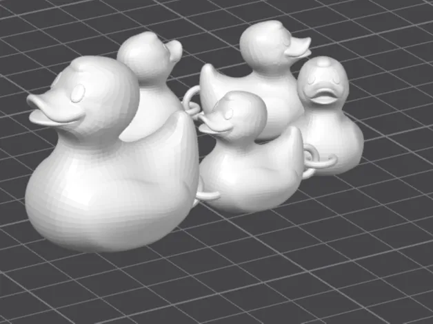 duck chain
