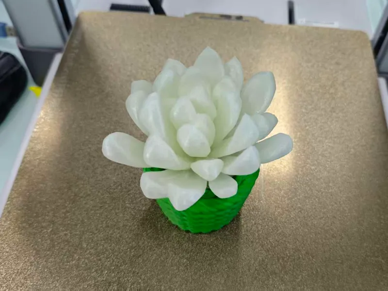 植物多肉（编织底座，内部可以放小物件）