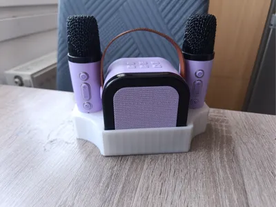 Speaker and Microphone Box
