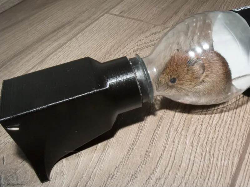 Bottle mousetrap