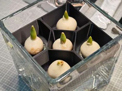 Tulip hydroponic frame
