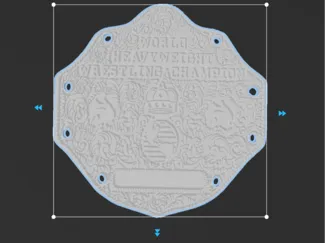 WWE Belt