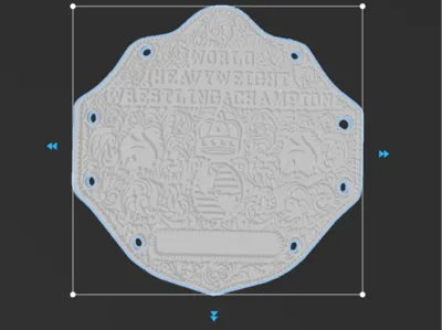 WWE Belt