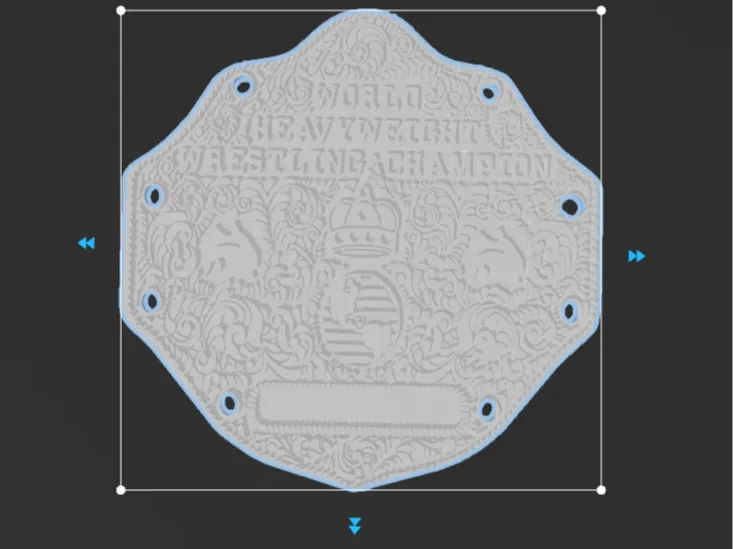 WWE Belt