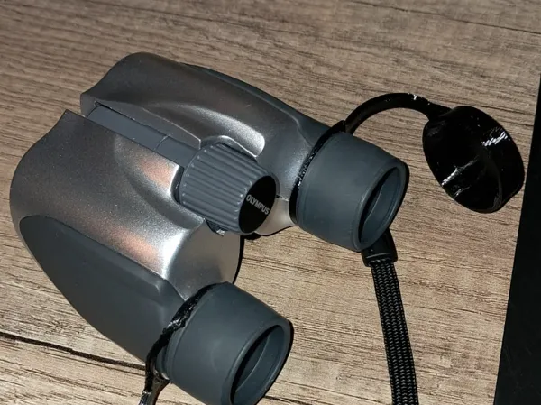 https://makerworld.bblmw.com/makerworld/model/DSM00000002198791/design/2026-01-04_8aa138a4d10ac.jpg