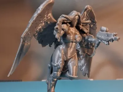 Angelic Sister of the Holy - Tested