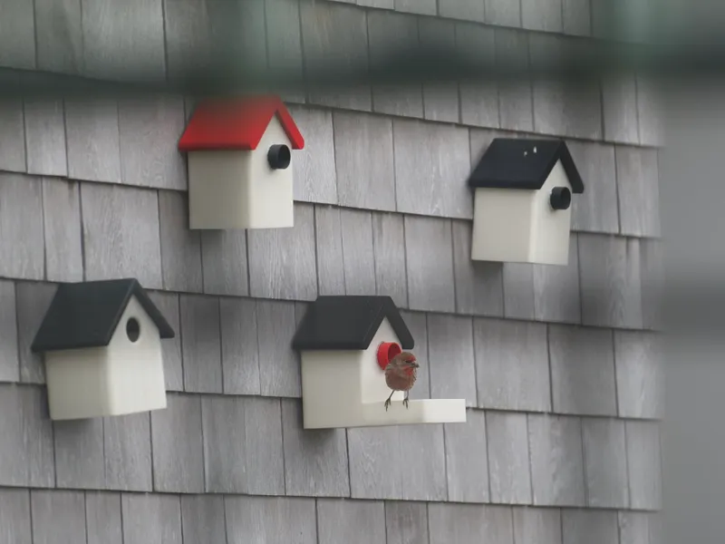 Parametric Bird House