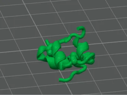 Insulin Molecule
