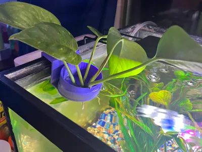 Plant holder for aquarium 