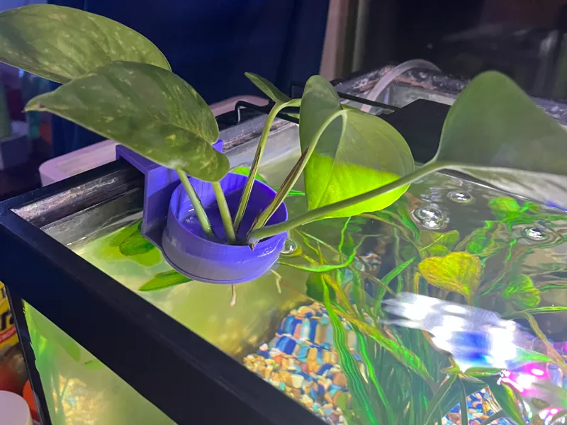 Plant holder for aquarium 