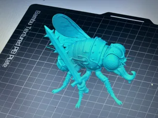 warrior fly