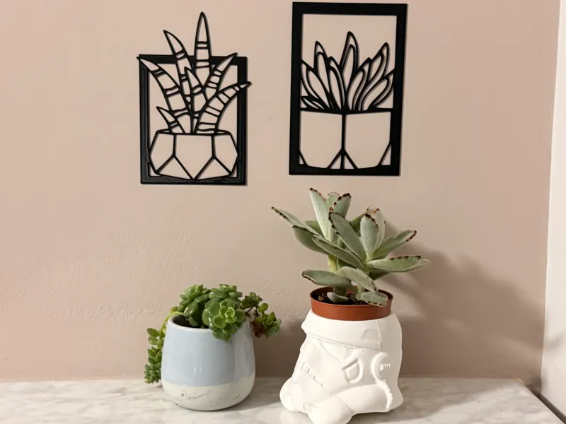 Quadretti decorativi piante grasse