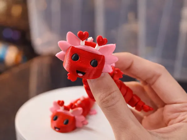 https://makerworld.bblmw.com/makerworld/model/DSM00000002206428/design/2026-01-05_06b61c50a3b9c8.png