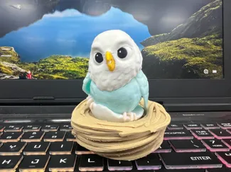 蛋白