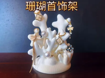 Coral Jewelry Holder