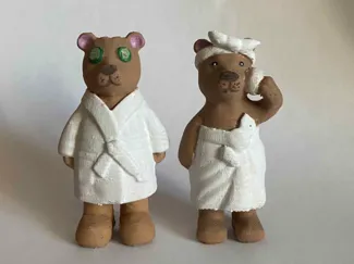 Wellness bears