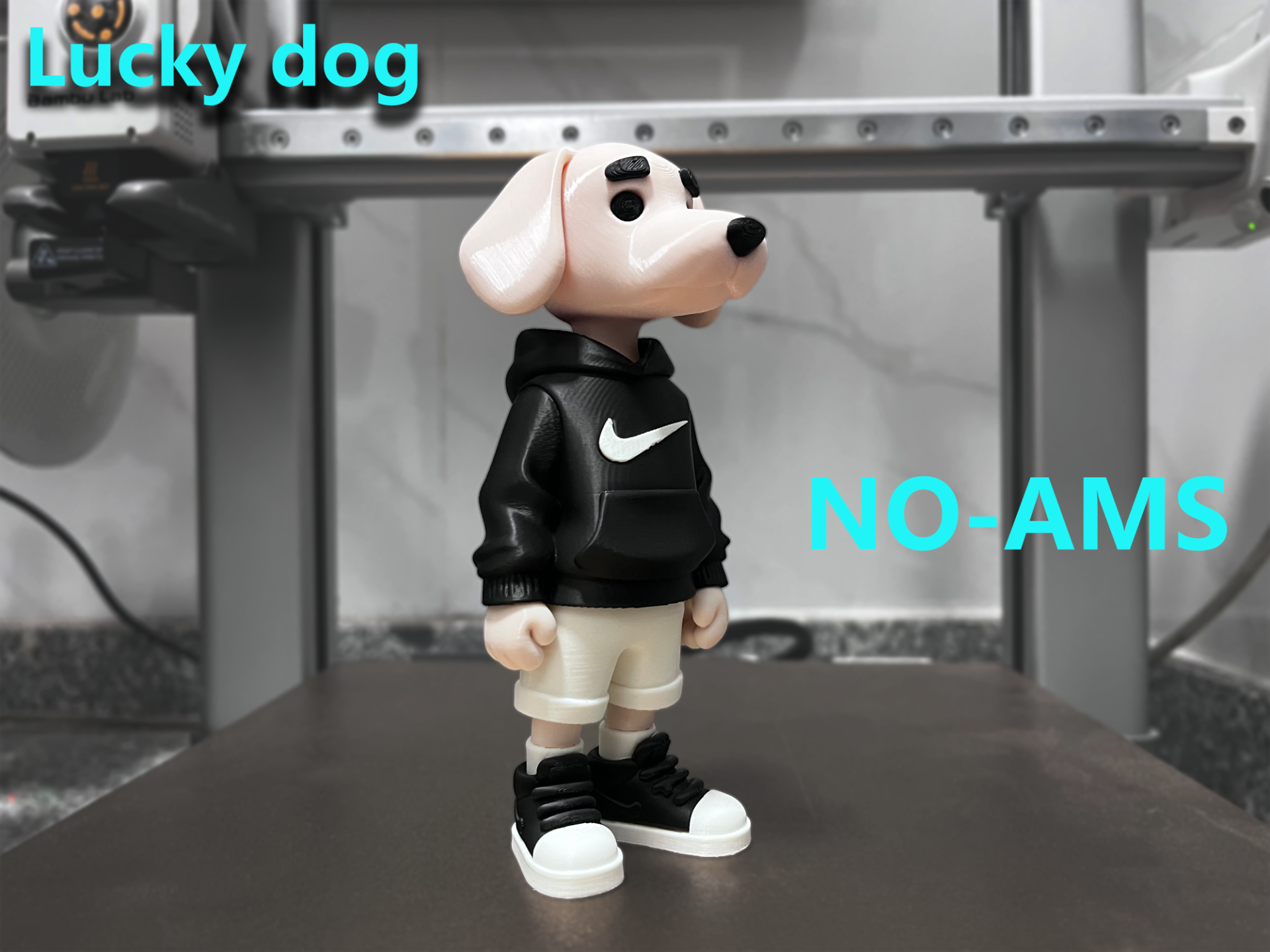 “酷”狗lucky-dog(NO-AMS)