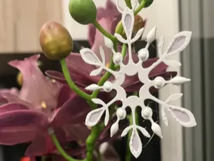 Snowflake