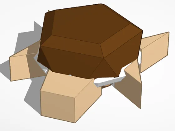 Turdle