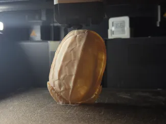 龟壳茶泽