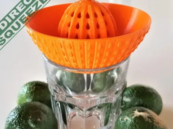 https://makerworld.bblmw.com/makerworld/model/DSM00000002214505/design/2026-01-07_be3bd2dcecc5f8.webp