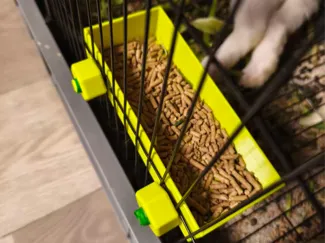 动物笼子投喂食盒