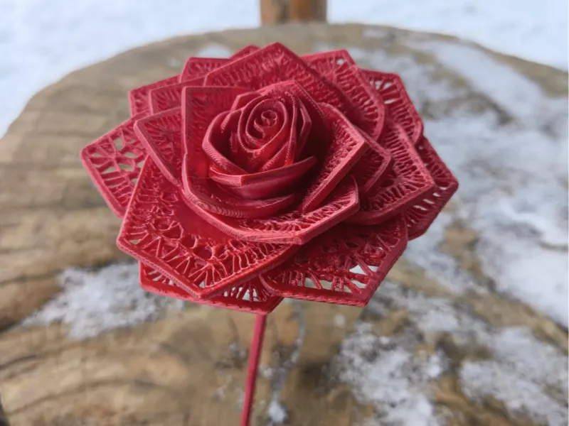 rose v1 