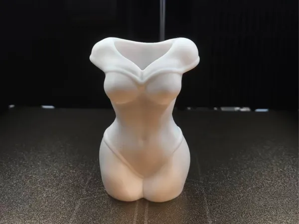 https://makerworld.bblmw.com/makerworld/model/DSM00000002216551/design/2026-01-07_b980a274164448.jpg