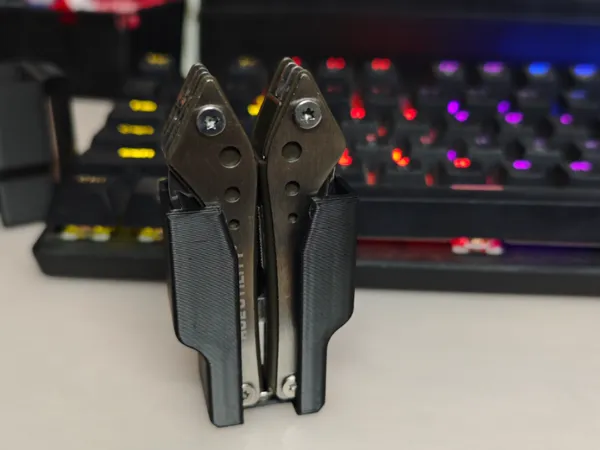 https://makerworld.bblmw.com/makerworld/model/DSM00000002220194/design/2026-01-09_41e0742843d478.jpg