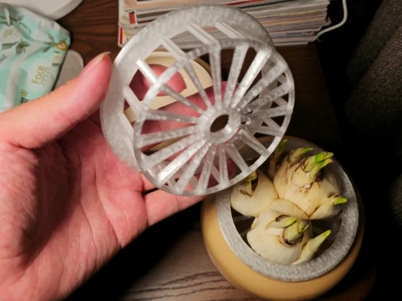 万用定植篮