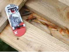 finger (wake/snowskate)board