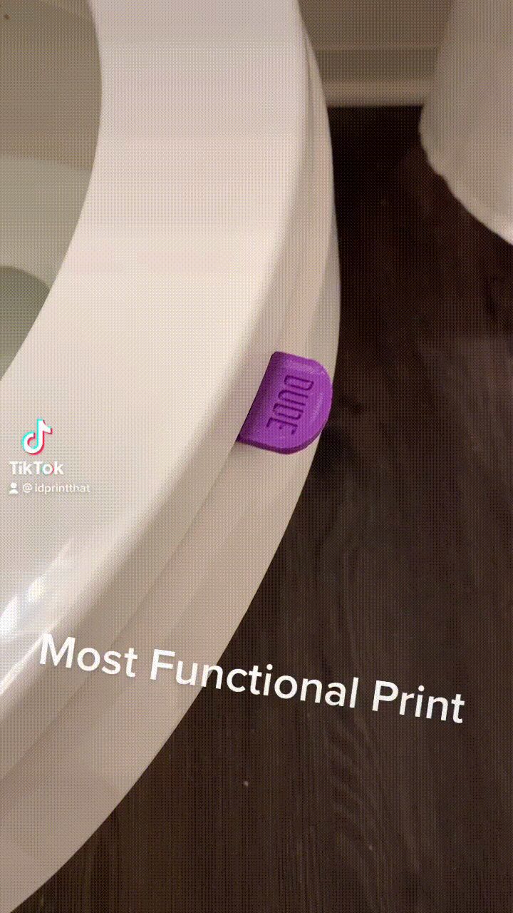 Toilet Seat Handle