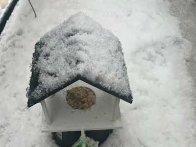 Birdhouse