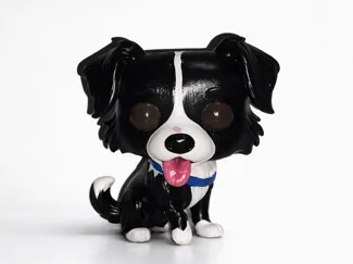 PERRO BORDER COLLIE