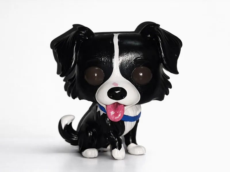 PERRO BORDER COLLIE