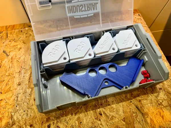 https://makerworld.bblmw.com/makerworld/model/DSM00000002226001/design/2026-01-10_75440ce1c78dc8.jpeg