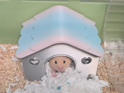 Hamster house