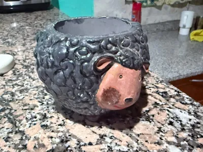 Sheep Treats or Planter